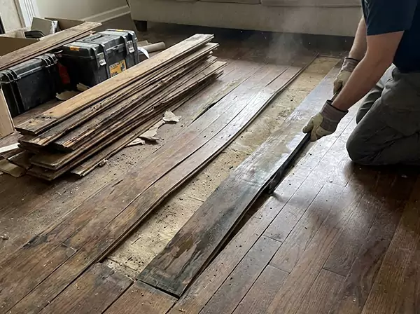 Water Damage Drying in Social Circle
