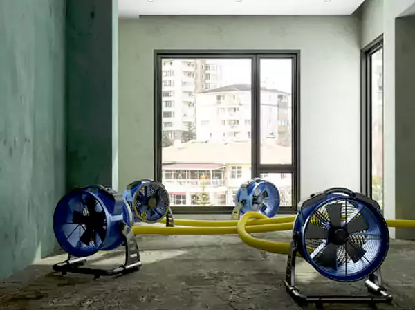 Water Removal Services in Social Circle