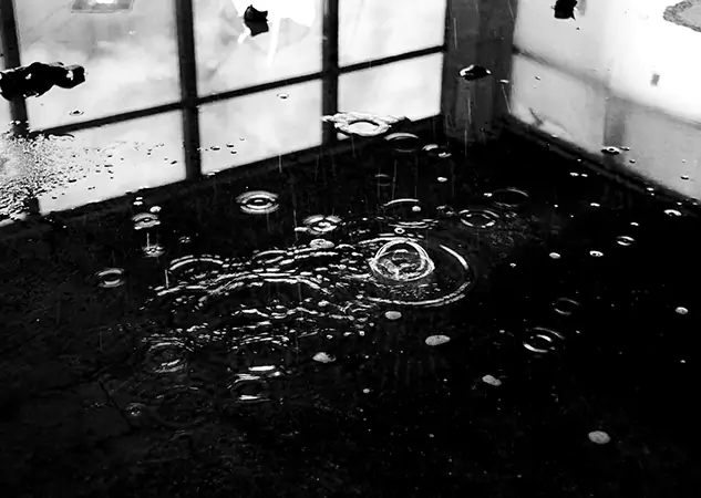 Your Contaminated Water Removal Specialists in Social Circle, GA