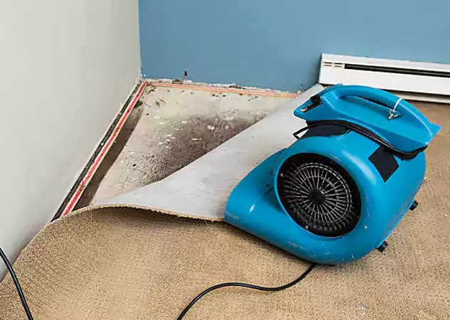 Your Water Damage Experts in Social Circle, GA