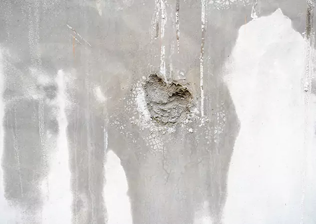 Your Mold Mitigation Solutions Partner in Social Circle, GA