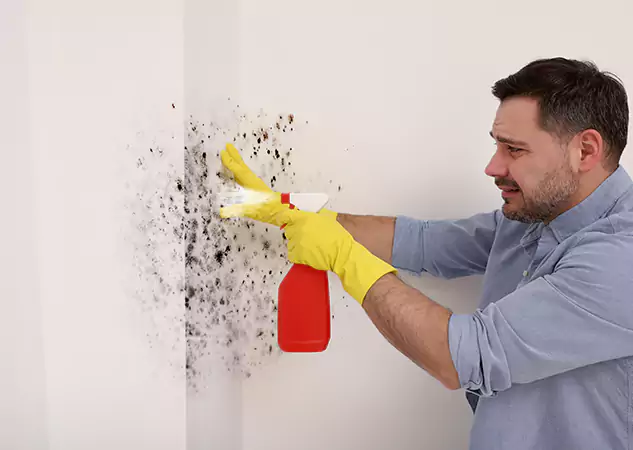 Your Water Mold Fire Restoration Partner in Social Circle, GA