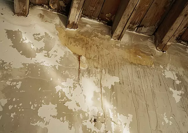 Your Trusted Restoration Company in Social Circle, GA