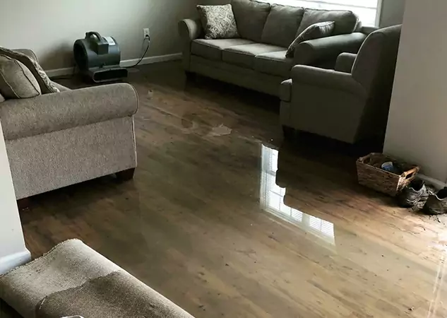 Your Trusted Restoration Company in Social Circle, GA