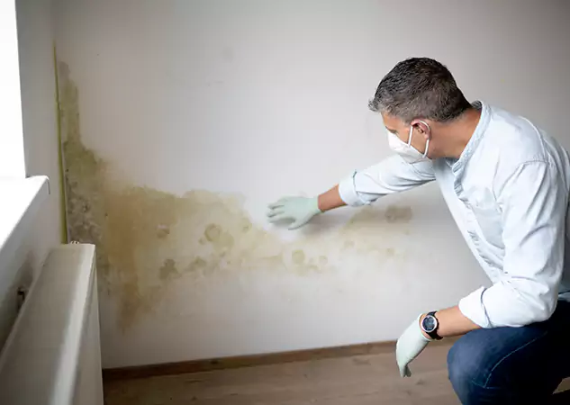 Reach Our Remediation Team Before Damage Grows in Social Circle, GA!