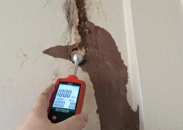 Your Water Damage Assessment Partner in Social Circle, GA