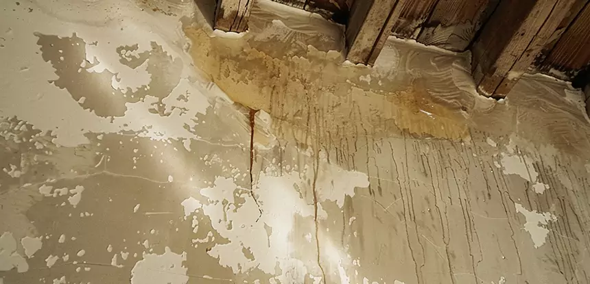 Professional Attic Water Damage Repair Services in Social Circle, GA