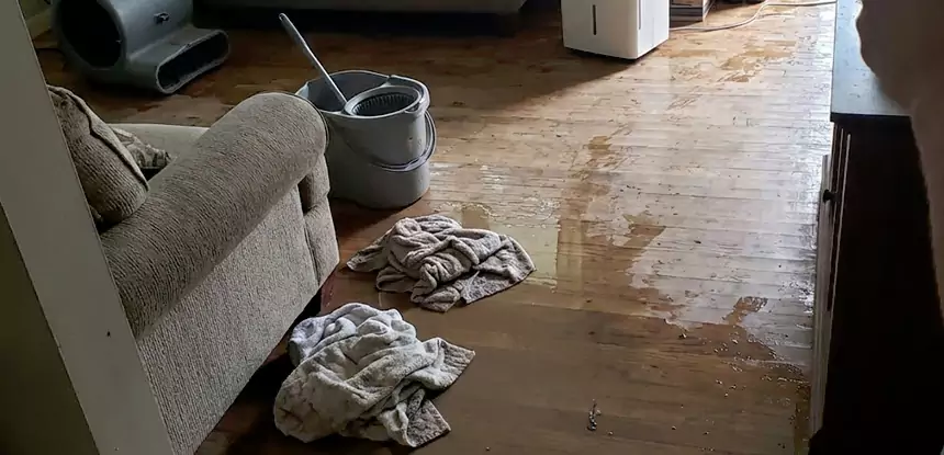 Professional Basement Water Remediation Services in Social Circle, GA
