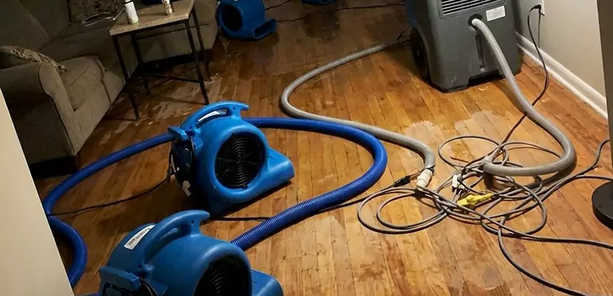 Basement Flood Restoration Services in Social Circle