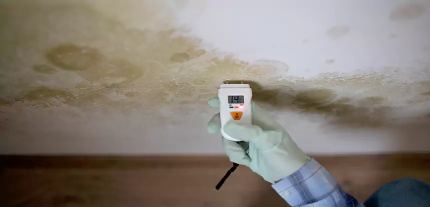 Emergency Mold Remediation in Social Circle