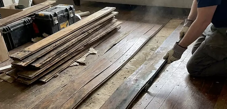 Wood Rot and Fungus Repair in Social Circle