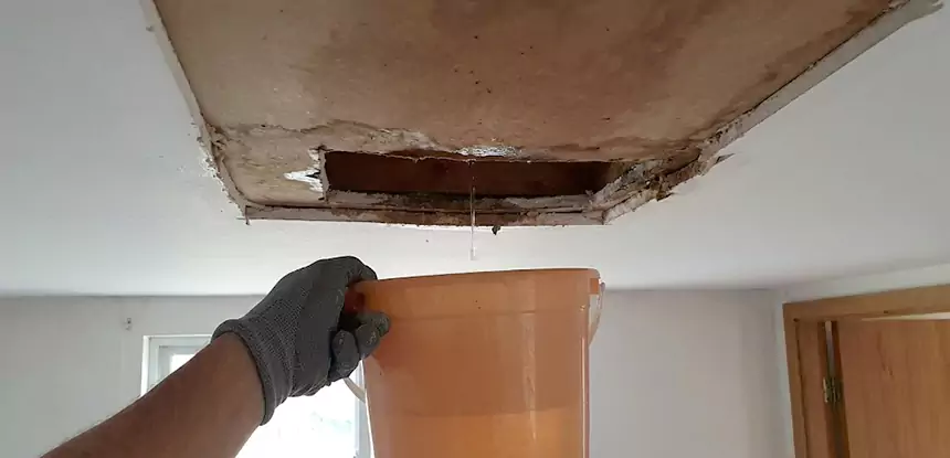 Ceiling Mold Repair Social Circle 