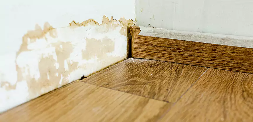 Professional Fix Water Damaged Wood Services in Social Circle, GA