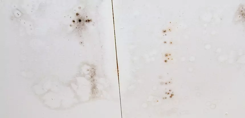 Professional Water Stain Repair Services in Social Circle, GA