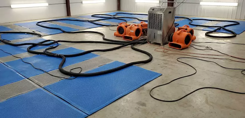 Professional Flooded Carpet Drying Services in Social Circle, GA