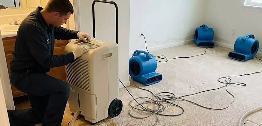 Professional Wet Carpet Removal Services in Social Circle, GA
