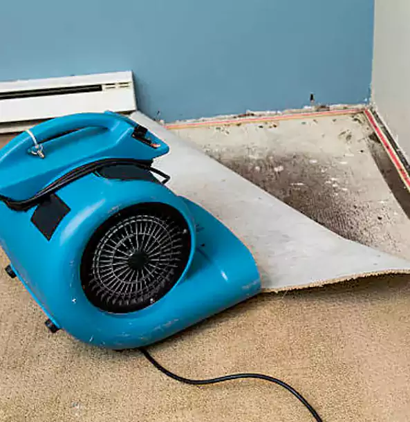 Why Social Circle Trusts Social Circle Restoration Pro for Carpet Flood Recovery?