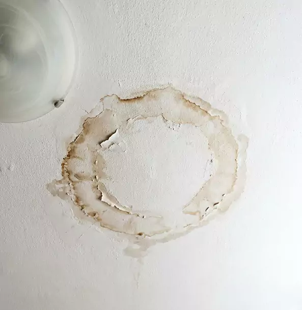 Why Social Circle Property Owners Choose Social Circle Restoration Pro for Ceiling Water Damage Restoration?