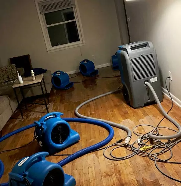 Why Social Circle Calls Social Circle Restoration Pro First for Emergency Restoration?