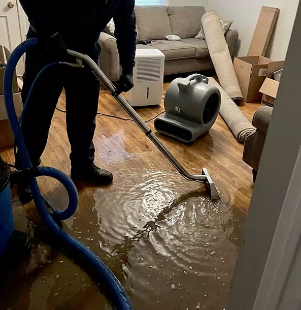 Why Social Circle Trusts Social Circle Restoration Pro for Flood Cleanup?