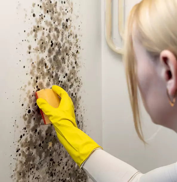 Why Social Circle Restoration Pro Leads Mold Remediation in Social Circle?