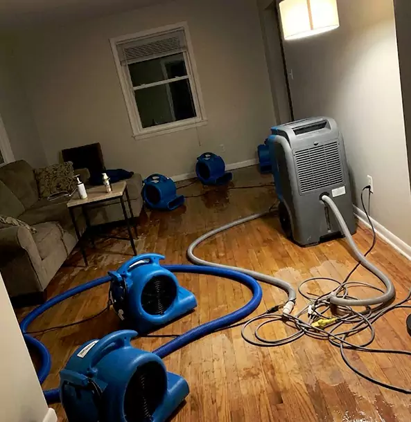 Why Social Circle Property Owners Rely on Social Circle Restoration Pro for Remediation?