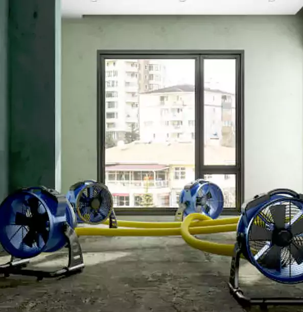 Why Social Circle Property Owners Trust Social Circle Restoration Pro for Water Damage Drying?