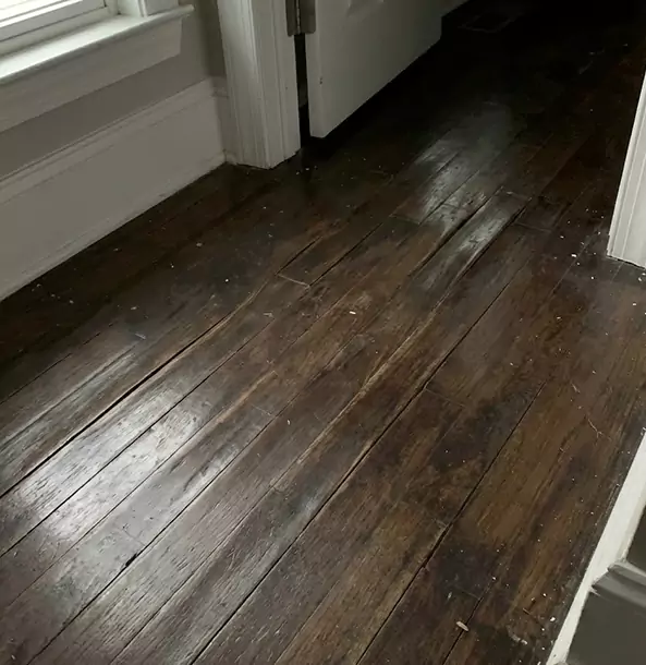 Why Social Circle Homeowners Trust Social Circle Restoration Pro to Fix Water Damaged Wood?