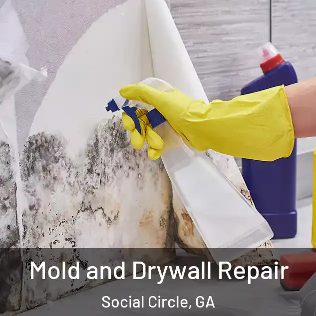  Mold and Drywall Repair Social Circle, GA
