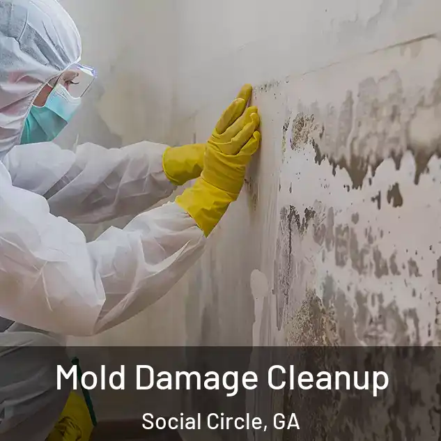  Mold Damage Cleanup Social Circle, GA