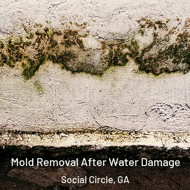  Mold Removal After Water Damage Social Circle, GA