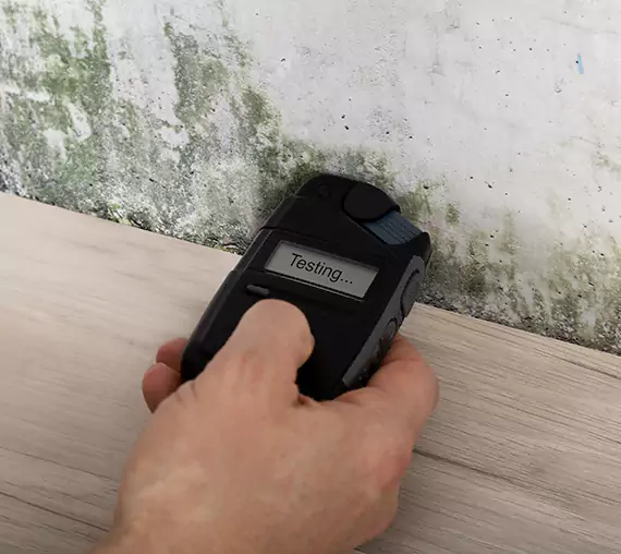 Mold Remediation Service Social Circle