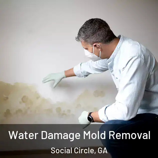  Water Damage Mold Removal Social Circle, GA
